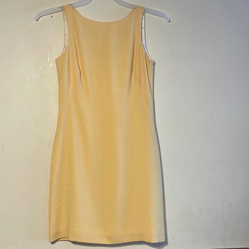 CDC Petite Dress